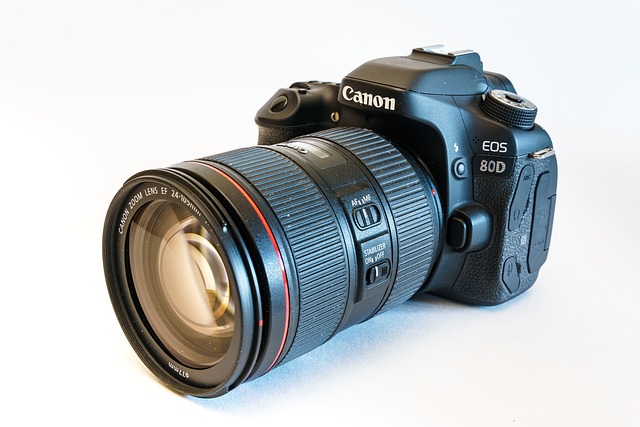 The Timeless DSLR Canon EOS 80D