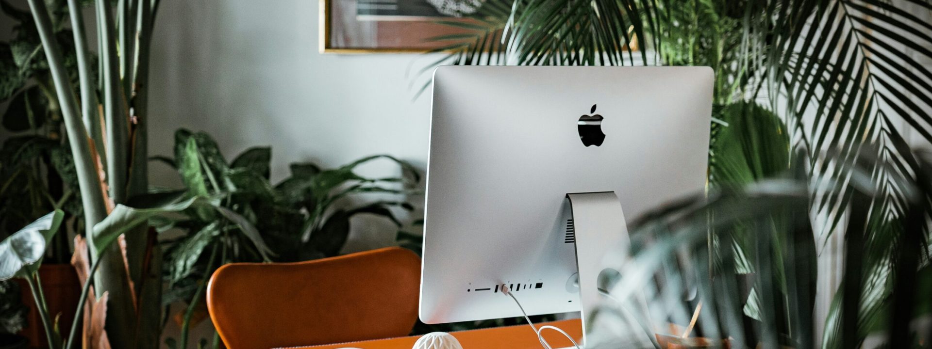 andreas-rasmussen-ZtD4DdClWGI-unsplash